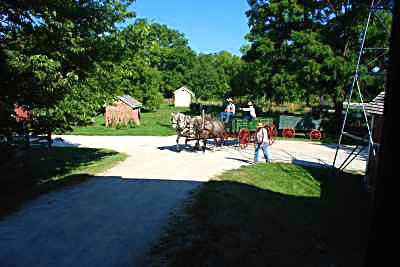 Farmyard Scene